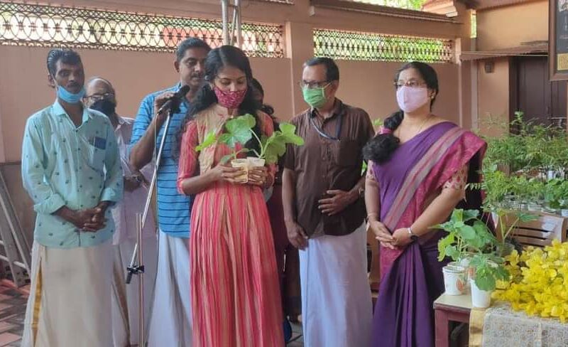 ayudh-tanur-saplings-kadampuzha