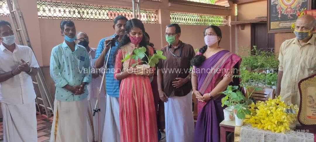 ayudh-tanur-saplings-kadampuzha