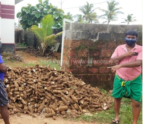 tapioca-chalenge-thenhippalam-iuml