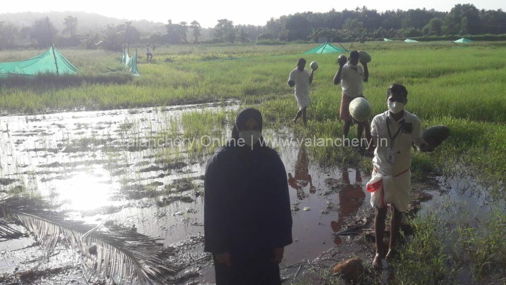 kuttippuram-block-rain-crops