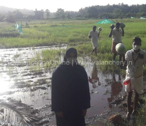 kuttippuram-block-rain-crops