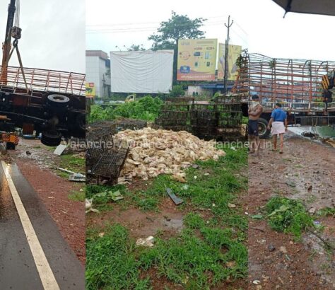 kozhichena-chicken-truck