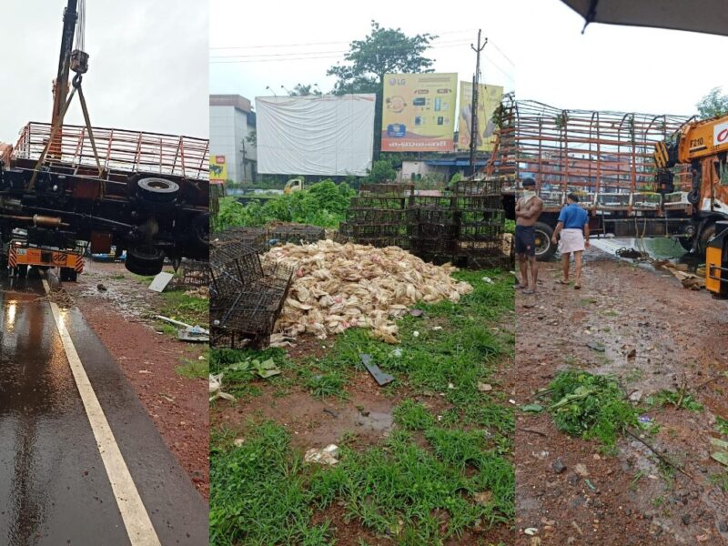 kozhichena-chicken-truck