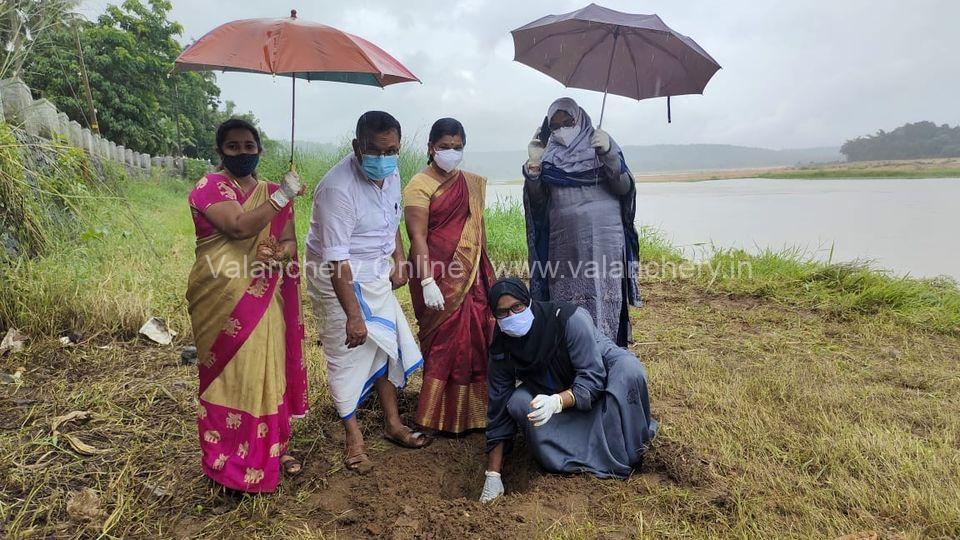 kuttippuram-ramla-karathodi-pine-trees