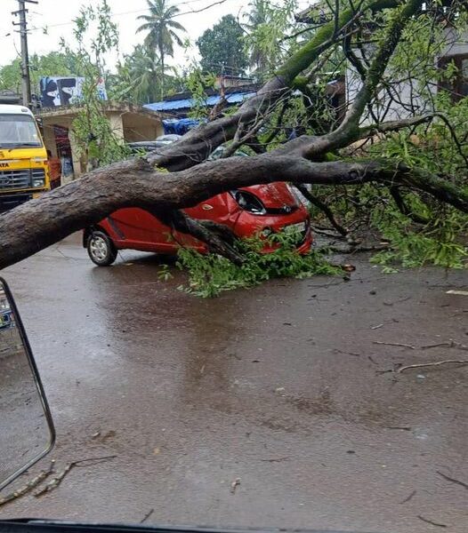 nano-car-tree-kodur