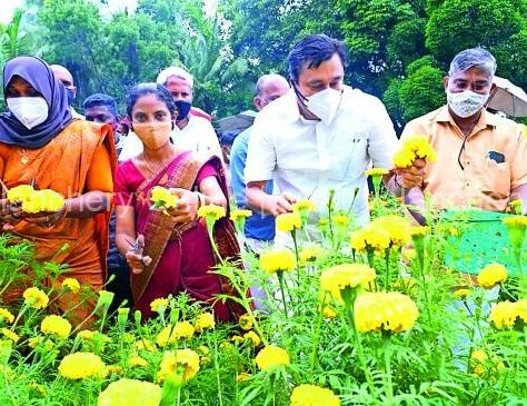 niramarutur-marigold-harvesting-2021