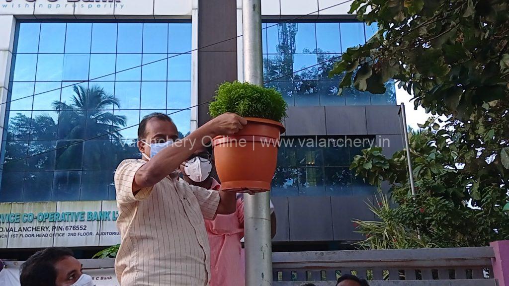 valanchery-beauty-pot