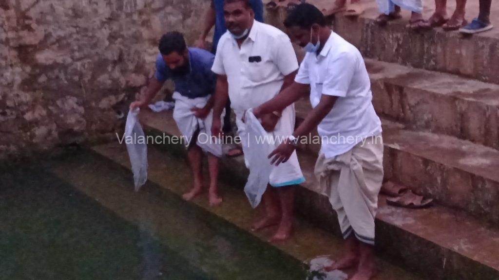 valanchery-pond-fish