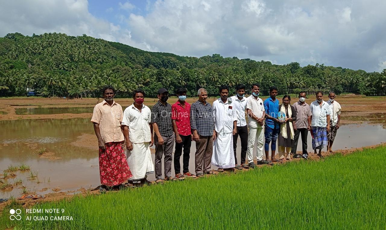 meshss-nss-inas-misbah