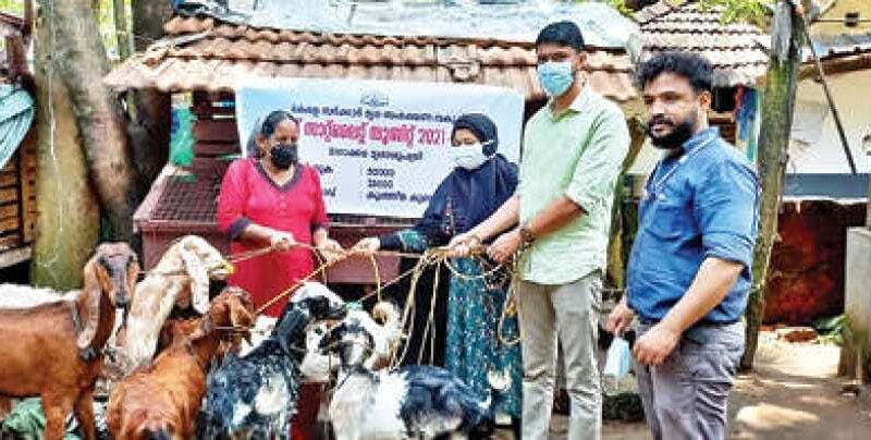 goat-satellite-2021-marakkara