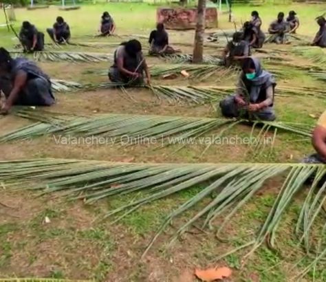 tourisom-kuttippuram-palm