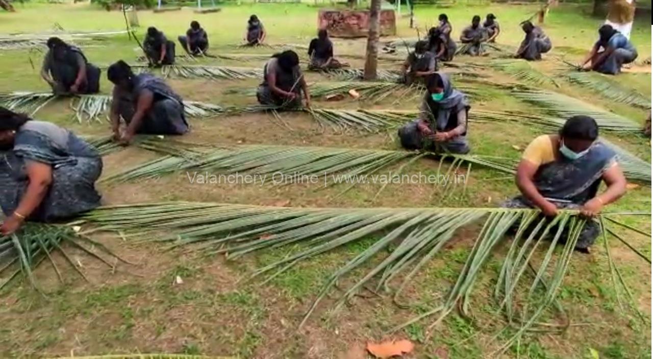 tourisom-kuttippuram-palm