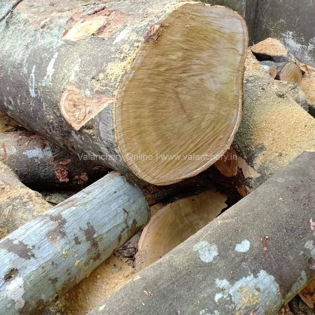 wood-mill