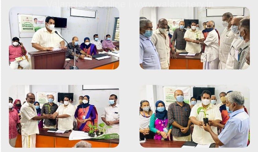 tissue-culture-valanchery