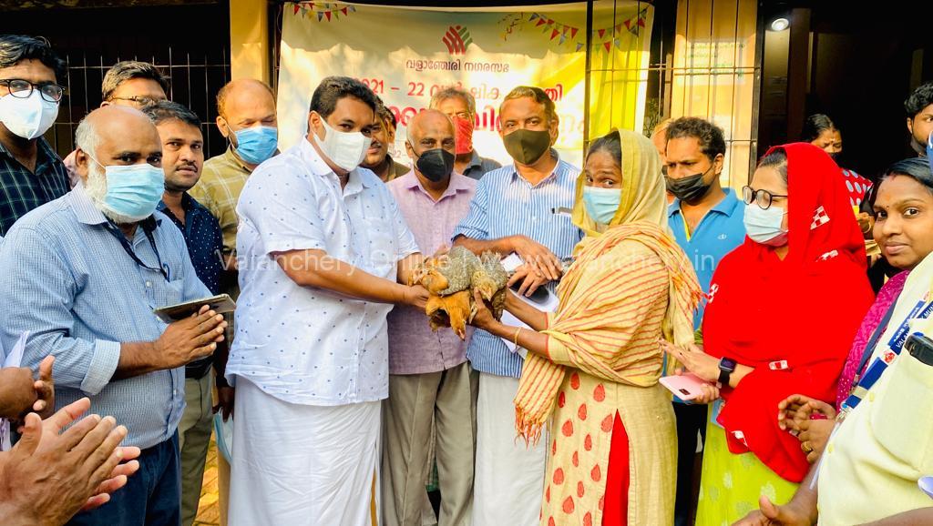 hen-valanchery-distribution