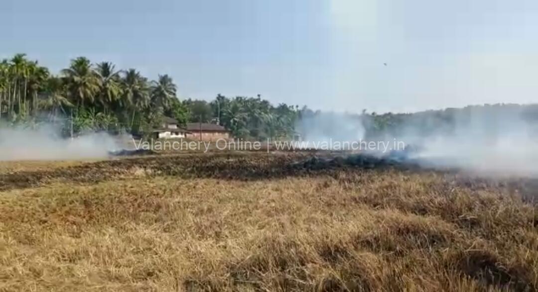 edayur-vallarthapadi-field