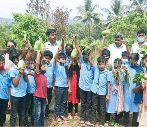 alp-school-vadakkumpuram-vegetables