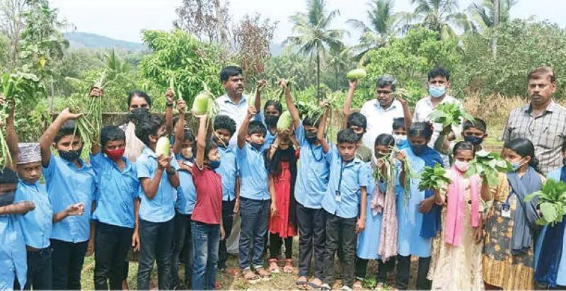 alp-school-vadakkumpuram-vegetables