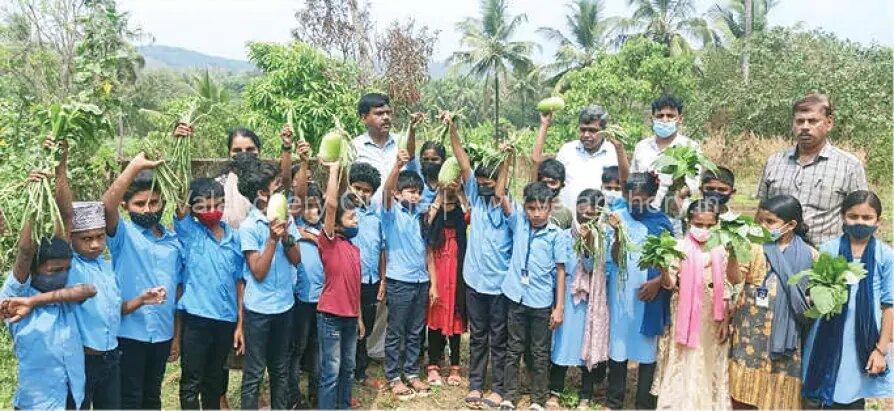 alp-school-vadakkumpuram-vegetables