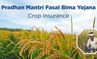 Crop-Insurance