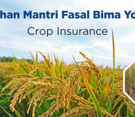 Crop-Insurance