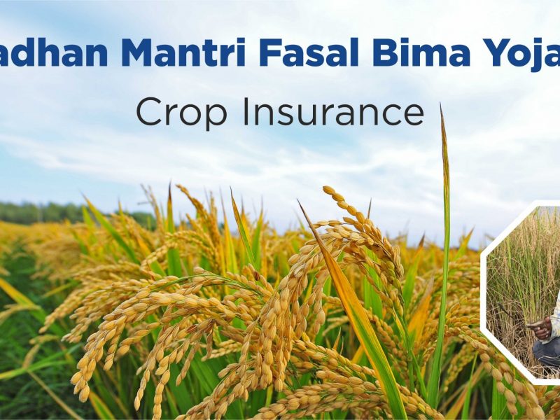 Crop-Insurance