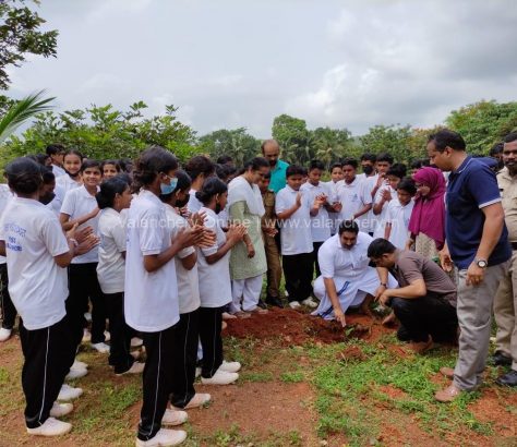 ashraf-ambalathingal-sapling