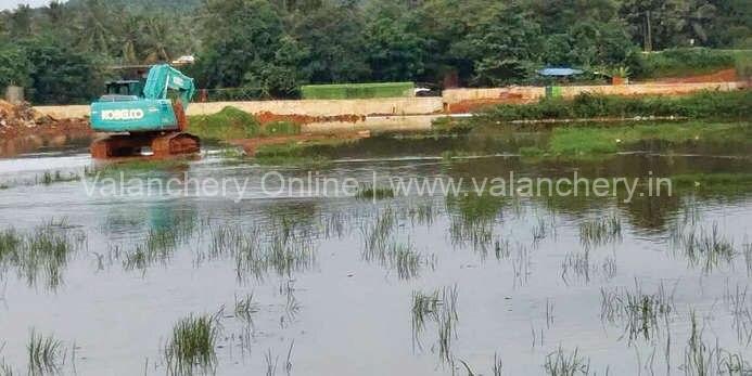 kattipparuthi-paddy-water