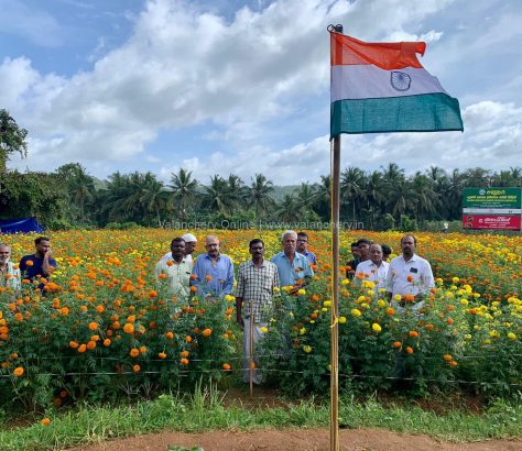 flower-farm-flag