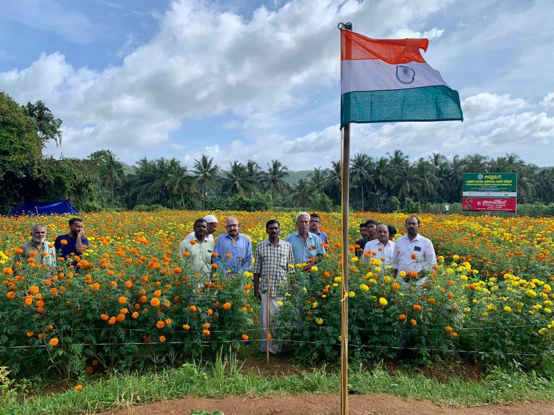 flower-farm-flag