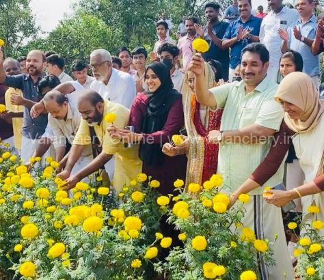 marigold-harvesting-2022-valanchery