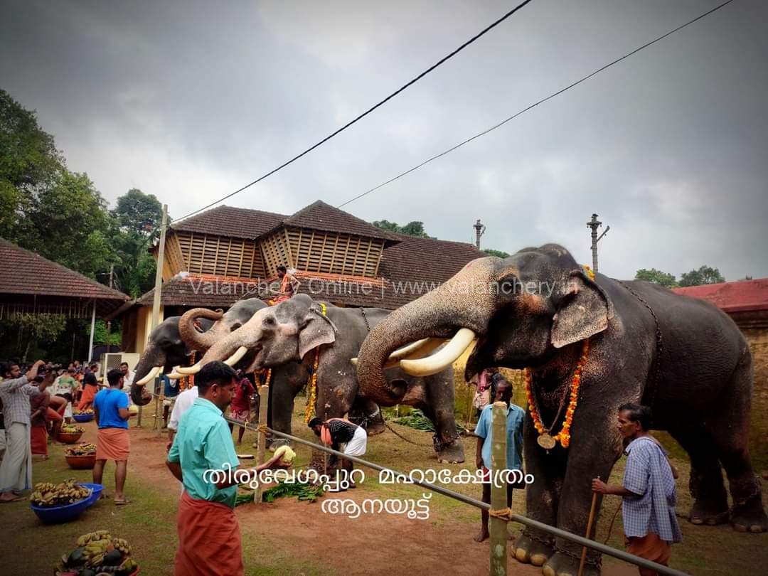 aanayoottu-2022-tiruvegappura