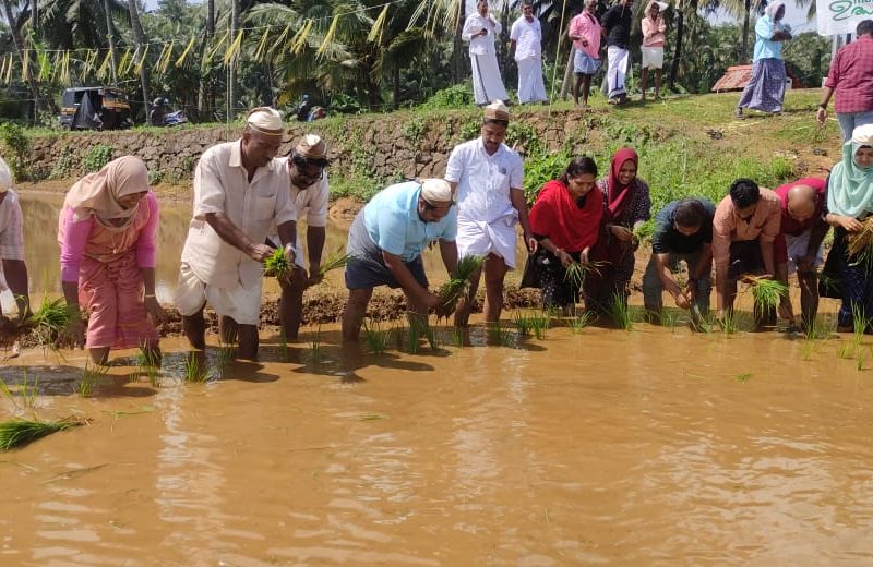 paddy-valanchery-2022