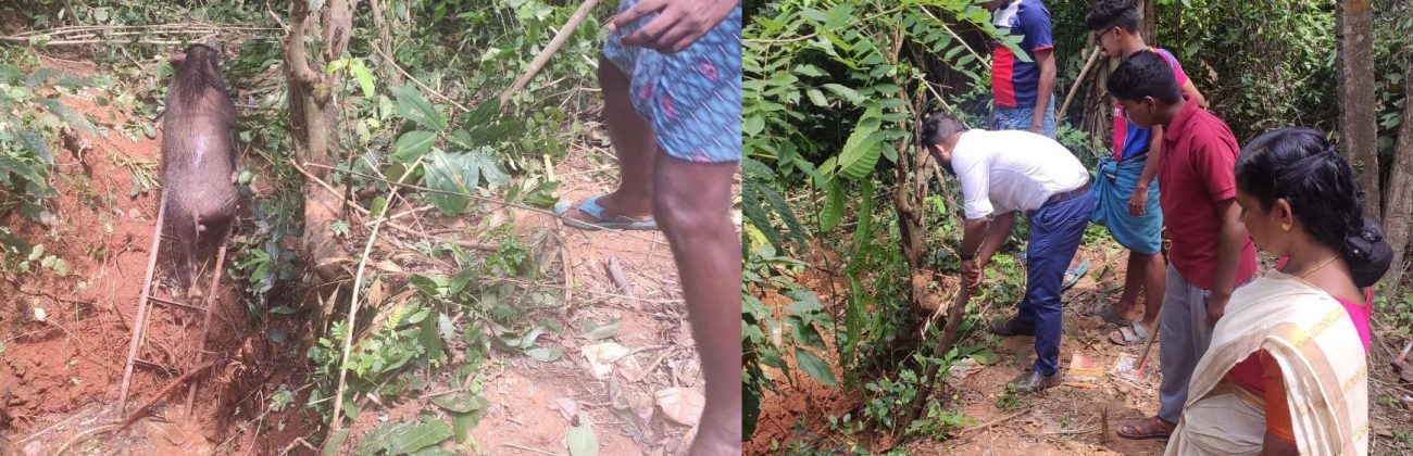 kuttippuram-boar-save