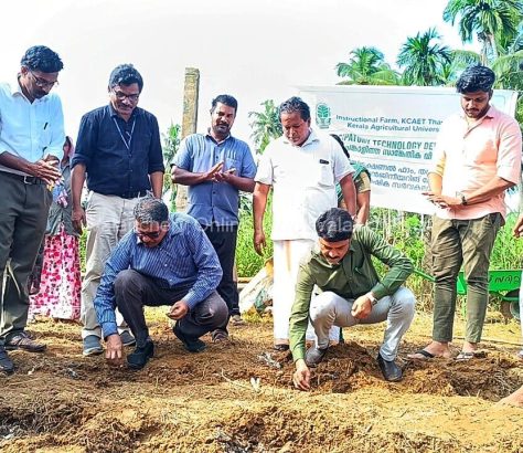 seed-tavanur-farm