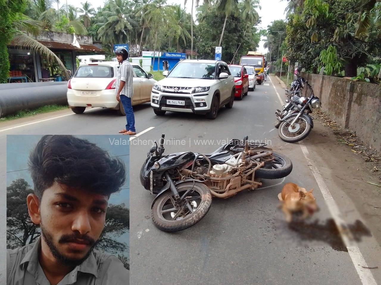 triprangode-straydog-bike