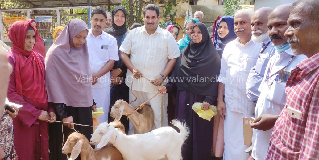goat-valanchery