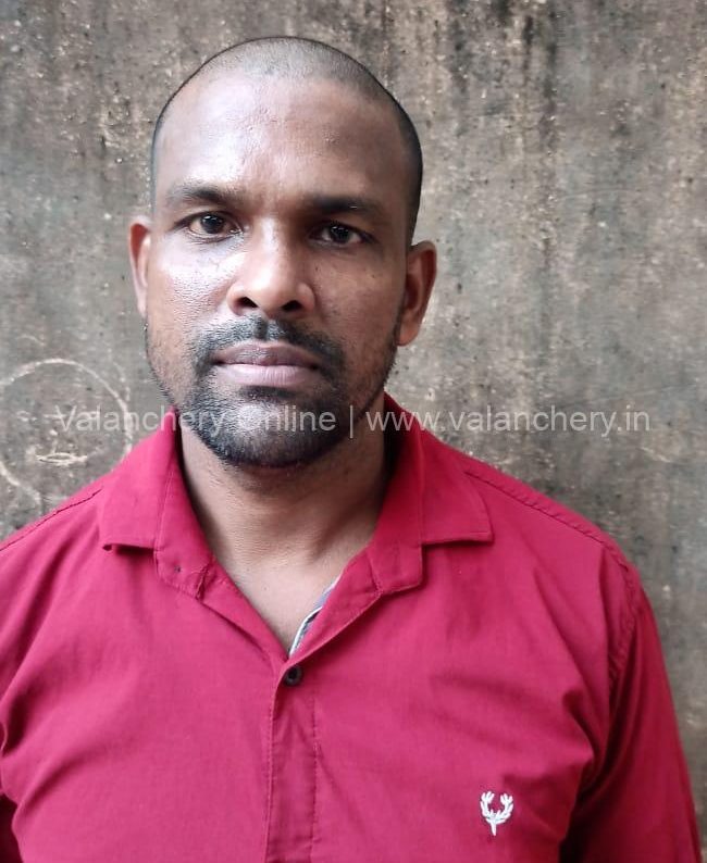 njayakottil-basheer-vaikkol