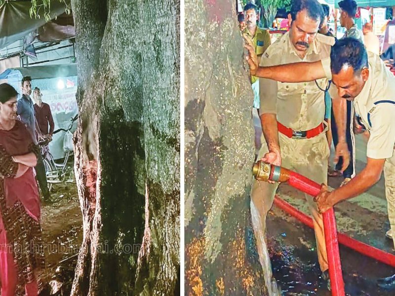 tree-burning-tirur