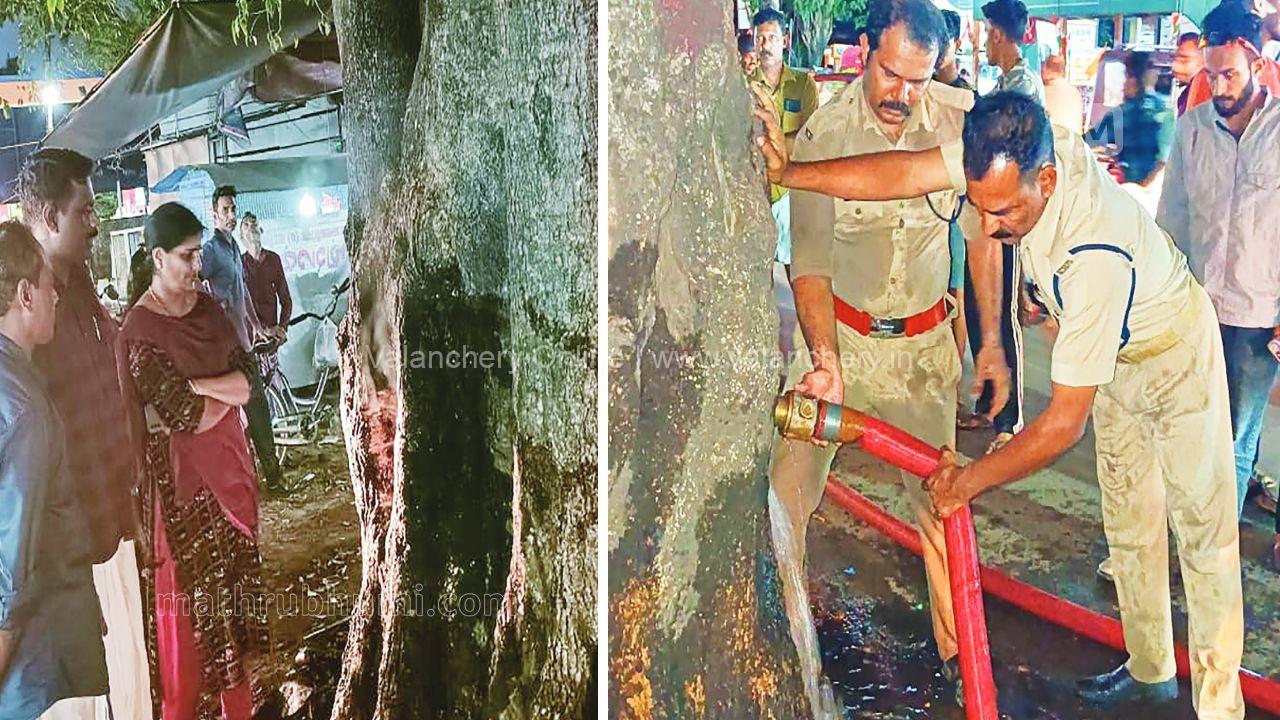 tree-burning-tirur