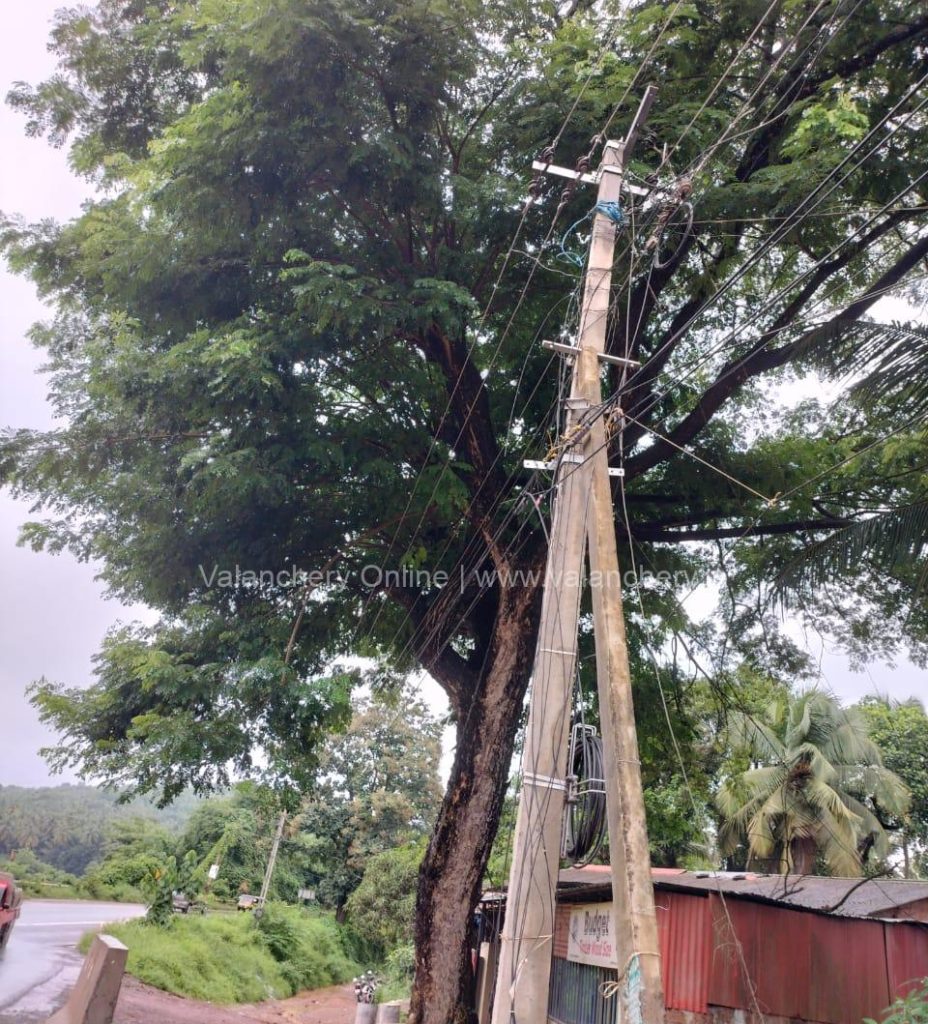 tree-nh-valanchery