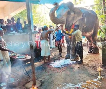 gaja-pooja-aanayoottu