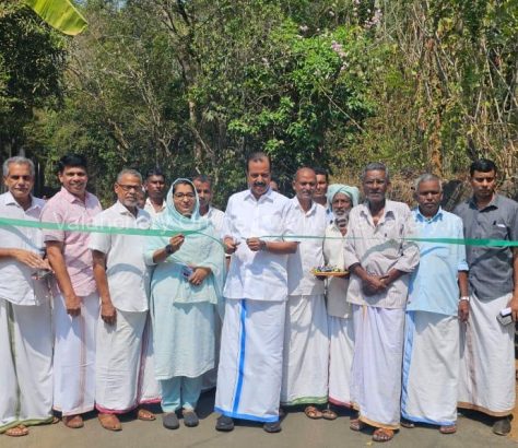 Vattaparamba-chola-road