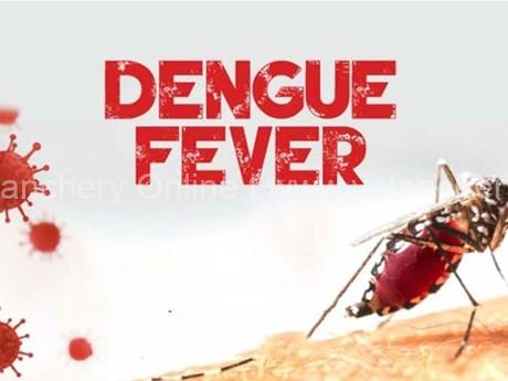 Dengue-mosquito