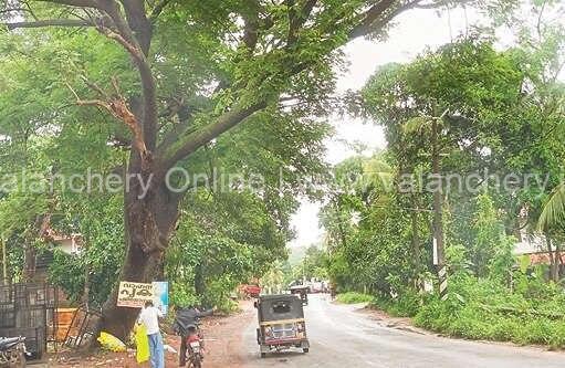 iqbal-nagar-tirunavaya