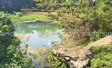 chellur-pothanipadam-pond-kuttippuram