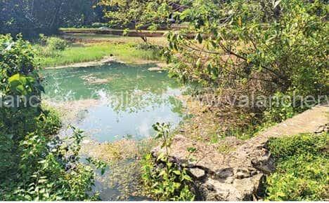 chellur-pothanipadam-pond-kuttippuram