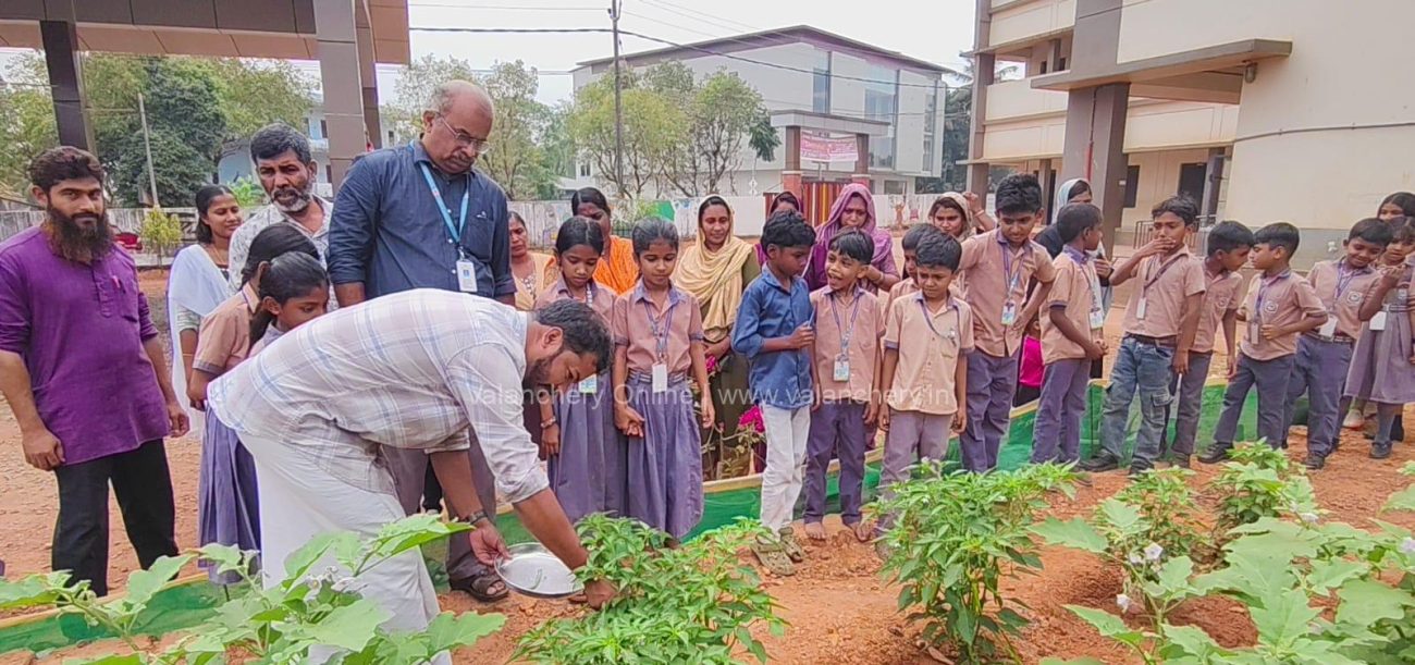 moodal-cultivation-school