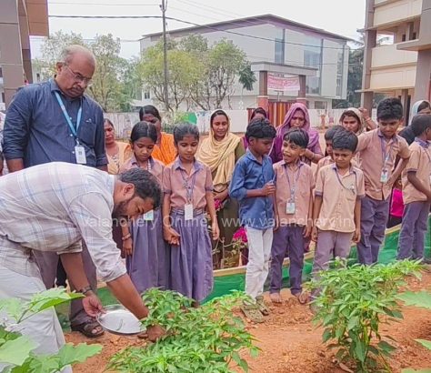 moodal-cultivation-school