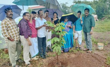 Environmental-day-2026-kadampuzha-temple